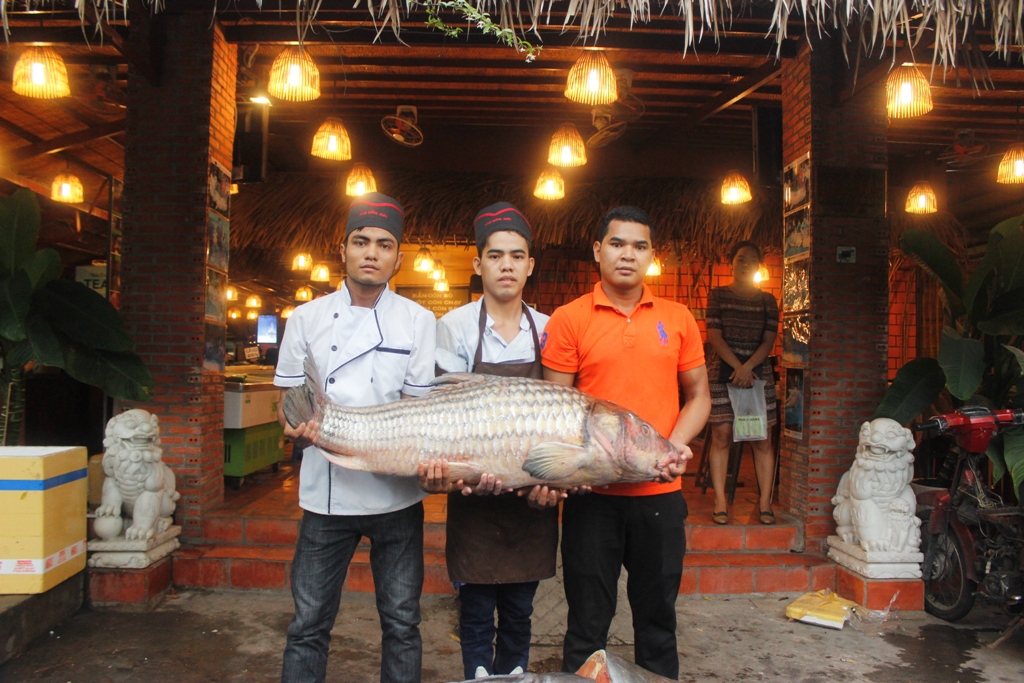 Bốn[-]cá[-]"khủng"[-]về[-]TP.HCM[-]khiến[-]người[-]dân[-]trầm[-]trồ